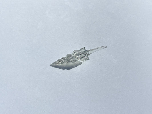 DEANNIE SPIRE SHELL HAIR CLIP