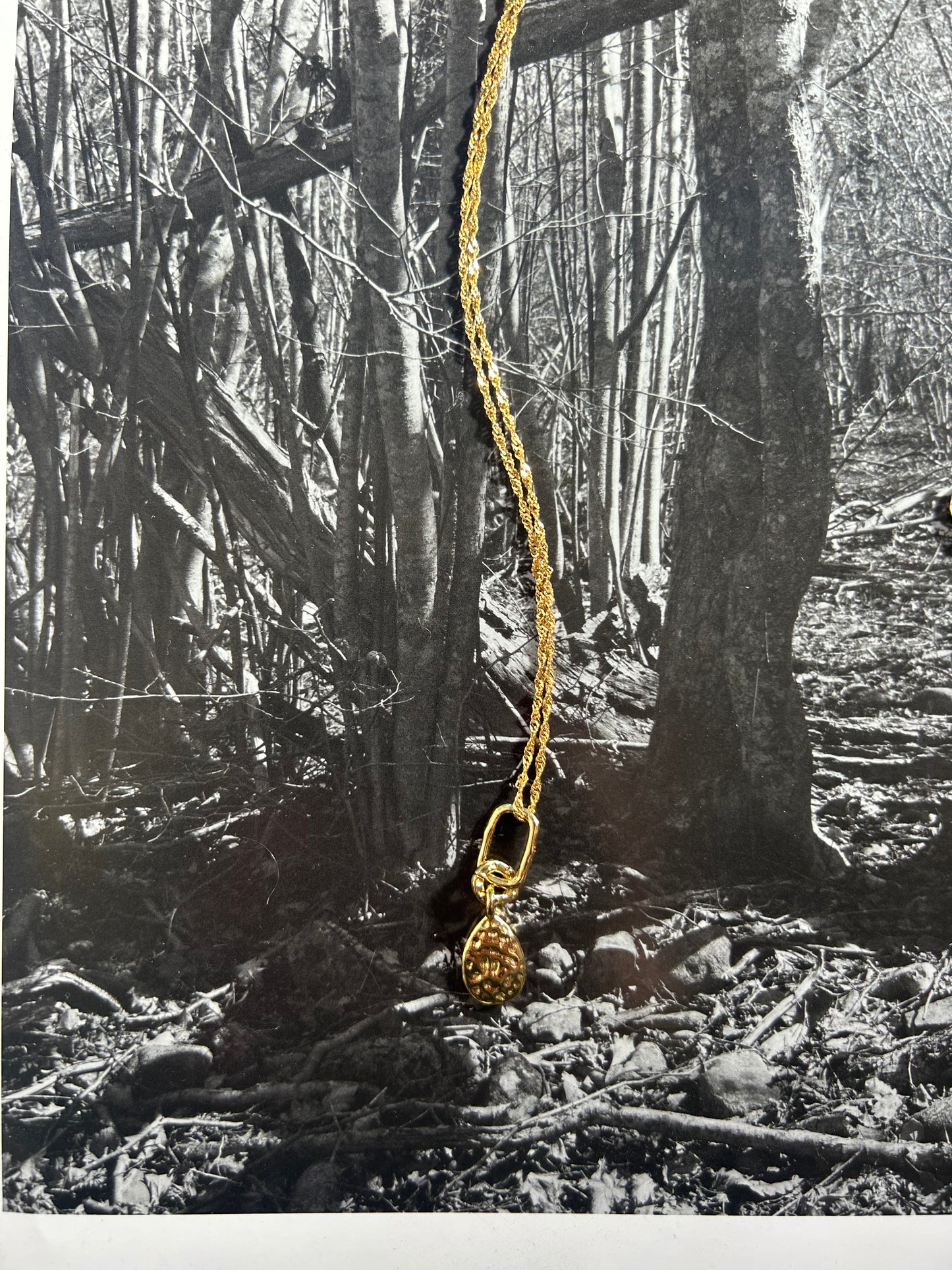 ARIYA CLIO NECKLACE GOLD