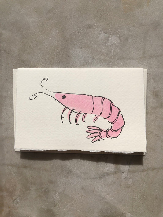 SCRIBBLE & DAUB SHRIMP CARD