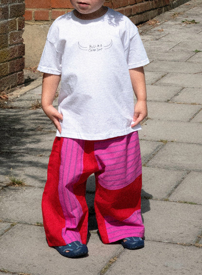 JOE SWEENEY BULL IN A CHINA SHOP TEE